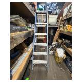 Louisville 6' Ladder