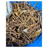 Assorted Nails in Bucket, Can & Tray