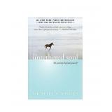 CASE OF 15 The Untethered Soul: The Journey Beyond