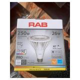 6 Pack RAB 250W True Color Flood Lights
