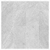 12 CASES Carrara White Milano Ribbo 12 in. x 24 in