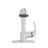 Dunning Single-Handle Pull-Out Laundry Faucet with