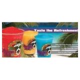 4- 1/2 Gallon Bags Caribbean Energy Fruit Punch Dr