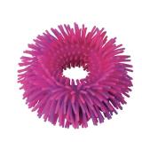 4 Pack 4 Colors Curiosities Jiggly Bracelet TyeDye