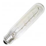 Sylvania 18493 General-Purpose Incandescent Lamp,