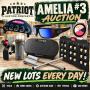 Amelia Surplus Online Auction #3