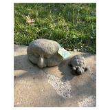 Concrete Head & Turtle