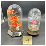 Glass dome floral arrangements