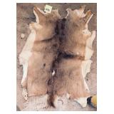 Tanned Deer Hide