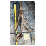 23ï¿½ piece of Driftwood