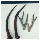 Antlers