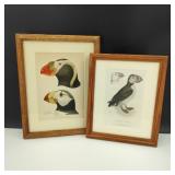 Framed-Vintage-Signed Puffin Prints