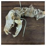 VTG Native American Ceremonial/Medicine Stick