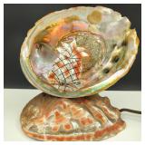 Vintage Abalone Shell TV Lamp