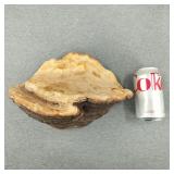 Large Vintage Petrified Mushroom