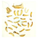 Animal Jaw & Teeth Great For Curiosity Shop