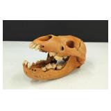 Decorative Skull
