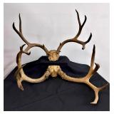 4 Point & 5 Point Deer Antlers