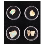 Raw Opals 17 Carats
