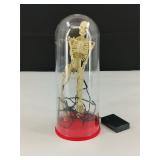 VTG Skeleton in Case with Lights