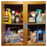 Contents Of Cabinet Carpet Shampoo, Car Wash