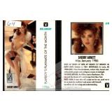 Sherry Arnett Playboy Miss January Silver Card