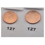 Protect The Future .999 Copper Round Coin