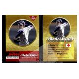 Shohei Ohtani 2012 Rookie Phenoms Gold