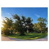 124 N New York Ave., Tescott, KS 67484