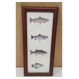 Fish Specie ID Picture 10ï¿½22.5