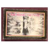 'Horse Sense' Horse Collecting Game