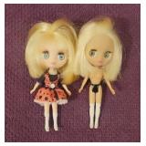 (2) Hasbro 'Blythe Loves Littlest Pet Shop' mini