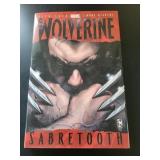 GRAPHIC NOVEL SIZE COMIC BOOKS