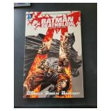 GRAPHIC NOVEL SIZE COMIC BOOKS