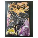 GRAPHIC NOVEL SIZE COMIC BOOKS