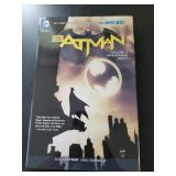 GRAPHIC NOVEL SIZE COMIC BOOKS