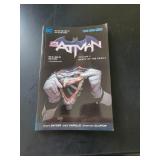 GRAPHIC NOVEL SIZE COMIC BOOKS