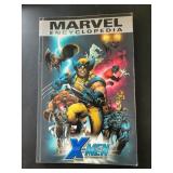 GRAPHIC NOVEL SIZE COMIC BOOKS