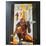 GRAPHIC NOVEL SIZE COMIC BOOKS
