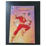 GRAPHIC NOVEL SIZE COMIC BOOKS