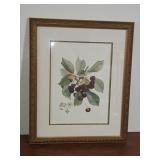 Print of Cherries