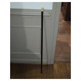 Cane