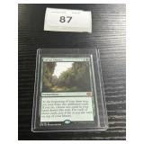 MTG Sylvan Library
