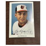 Baltimore Orioles Cal Ripken Jr. Autographed Team-