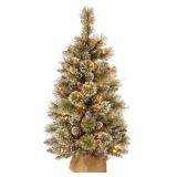 National Tree 3 ft Pre-Lit Mini Christmas Tree