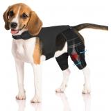 Dog Knee Brace for Torn ACL Hind Leg