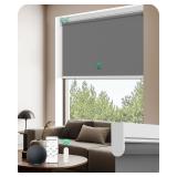 Allesin Motorized Roller Blinds (Smoky Gray)