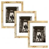 3 Pack Burlwood Frames (11x14 matted)