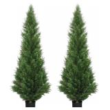$120 Two 5-Foot Outdoor Cedar Topiary Trees