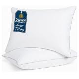 Casa Platino Bed Pillows - 2 Pack (20x26)